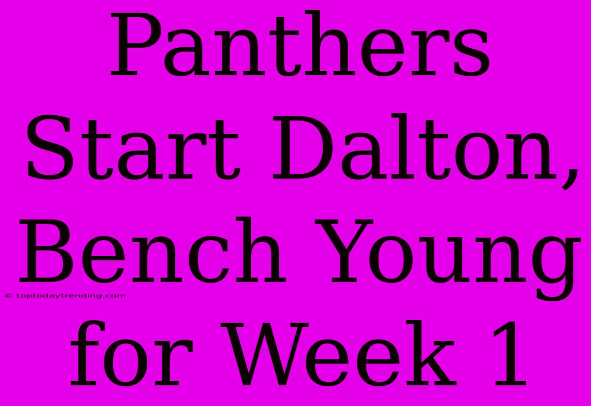 Panthers Start Dalton, Bench Young For Week 1