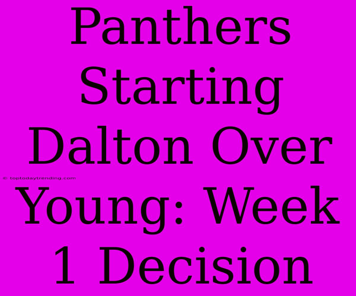 Panthers Starting Dalton Over Young: Week 1 Decision