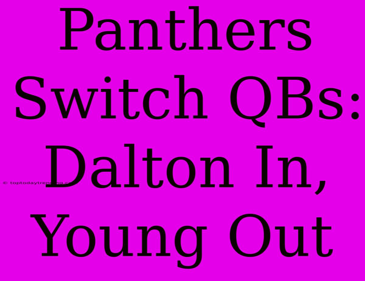 Panthers Switch QBs: Dalton In, Young Out