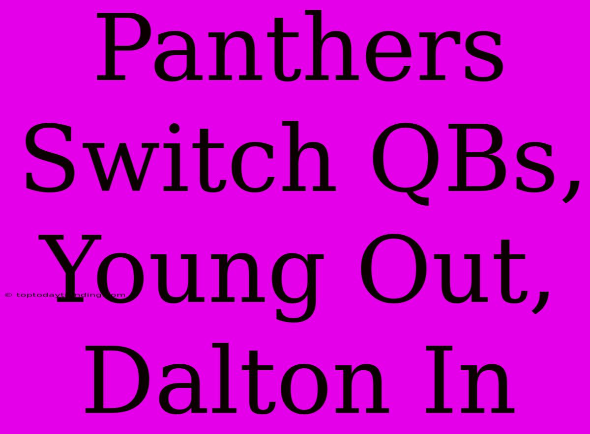 Panthers Switch QBs, Young Out, Dalton In