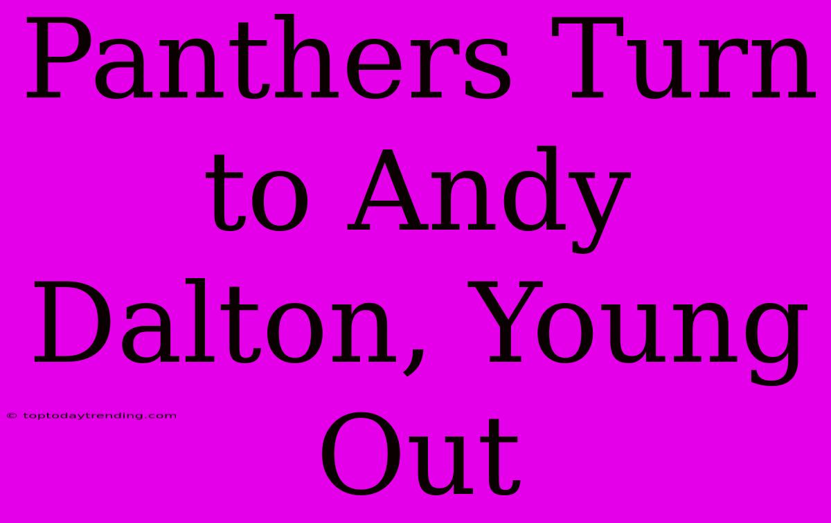 Panthers Turn To Andy Dalton, Young Out