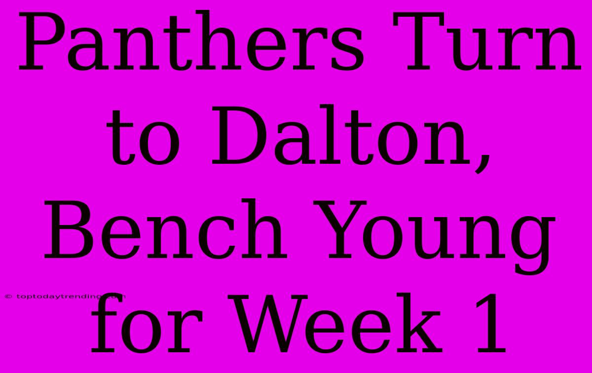 Panthers Turn To Dalton, Bench Young For Week 1