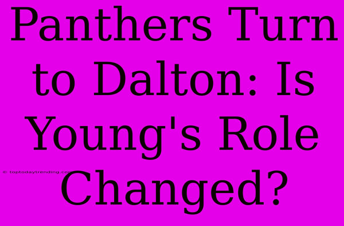 Panthers Turn To Dalton: Is Young's Role Changed?