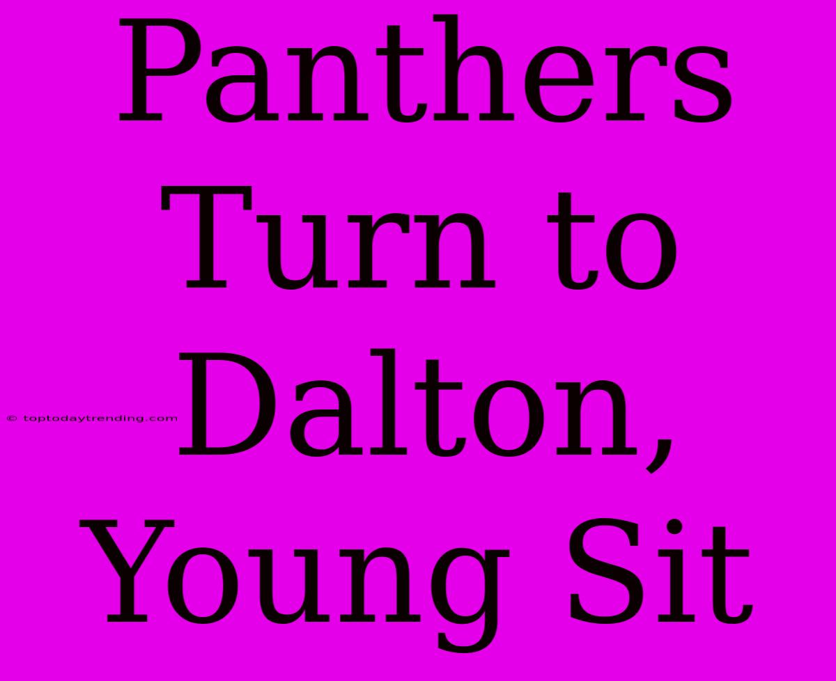 Panthers Turn To Dalton, Young Sit