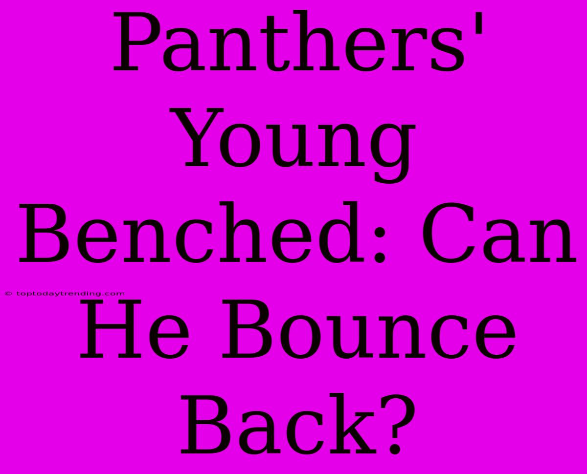 Panthers' Young Benched: Can He Bounce Back?