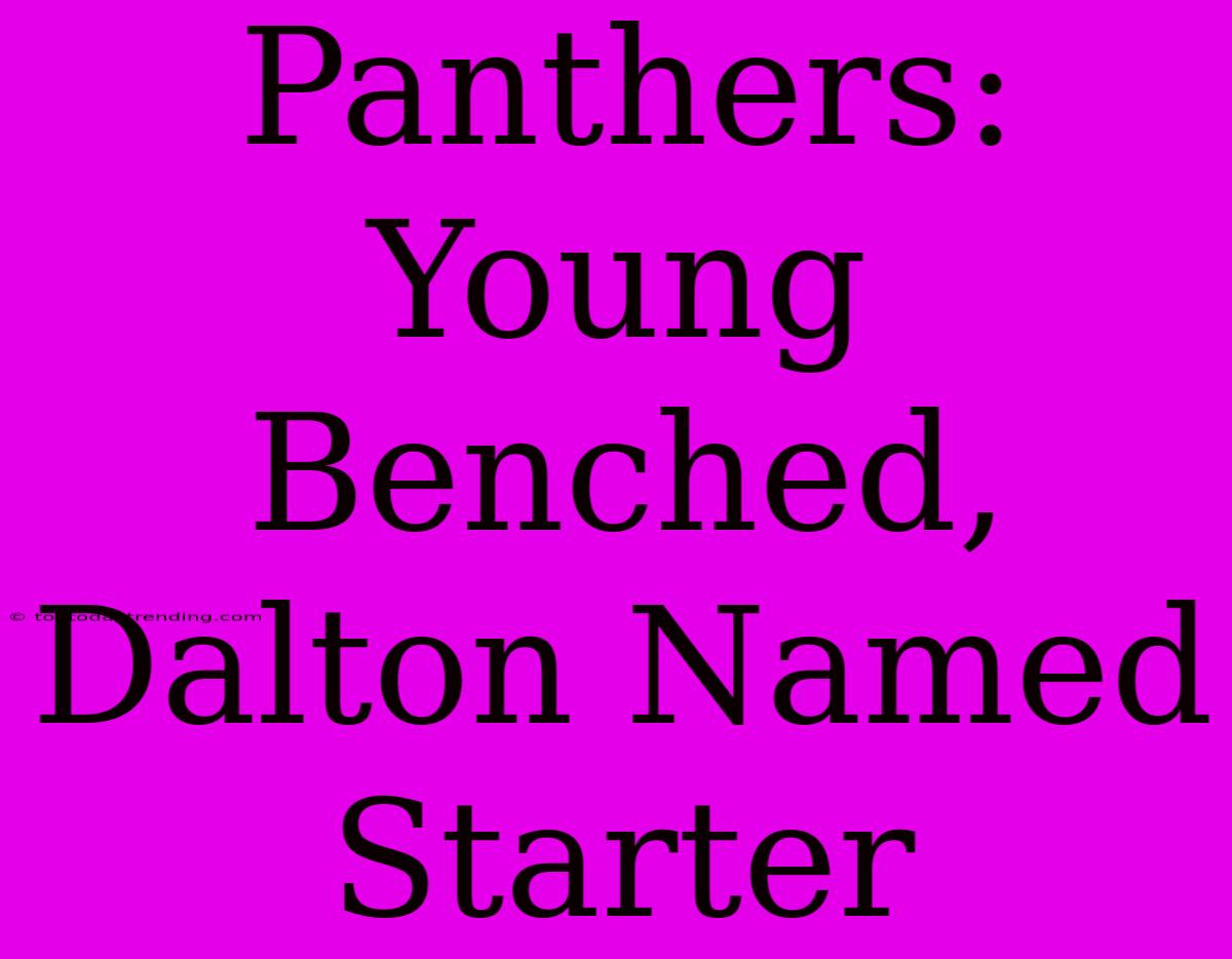 Panthers: Young Benched, Dalton Named Starter