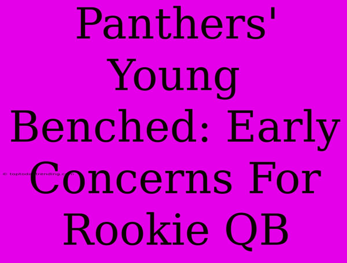 Panthers' Young Benched: Early Concerns For Rookie QB