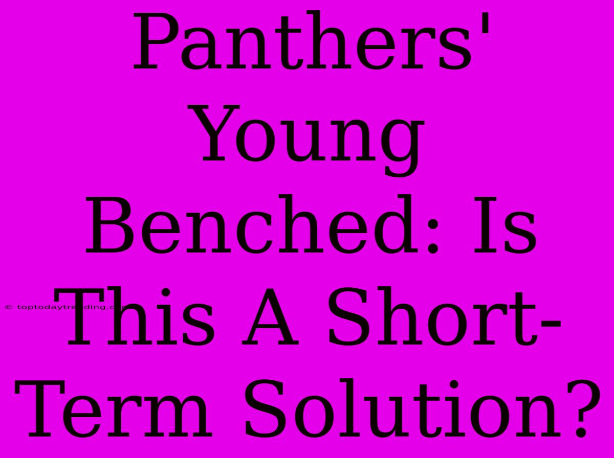 Panthers' Young Benched: Is This A Short-Term Solution?