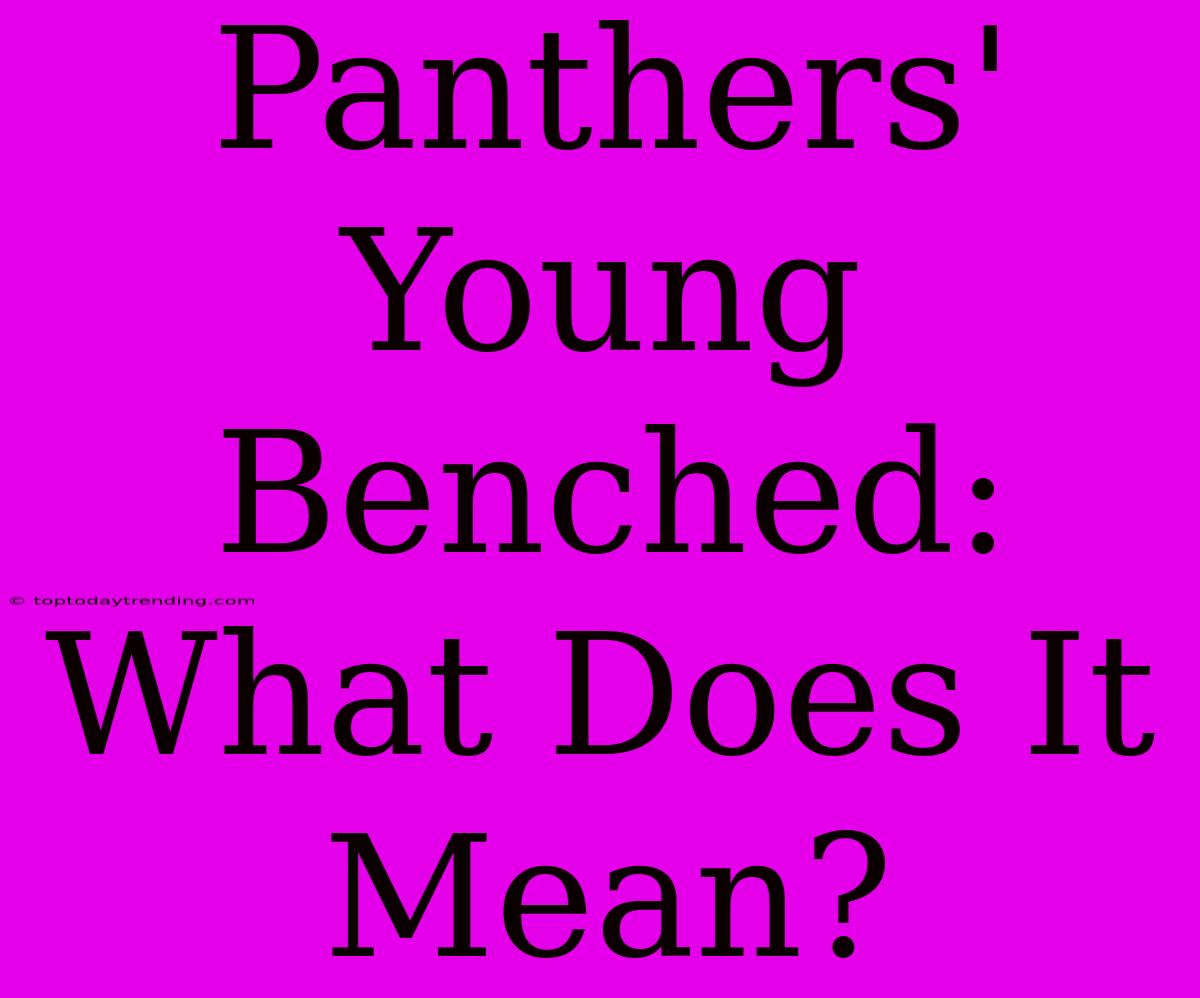 Panthers' Young Benched: What Does It Mean?