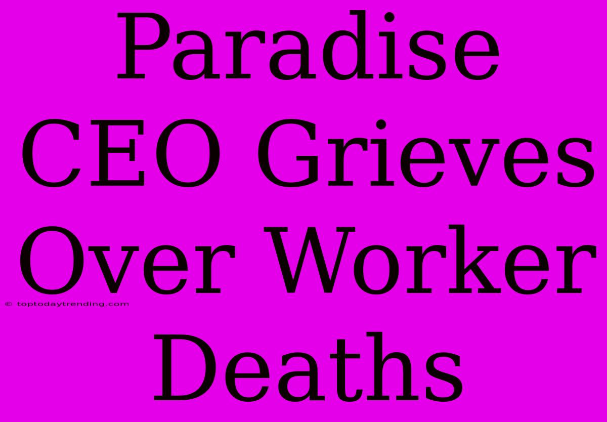 Paradise CEO Grieves Over Worker Deaths