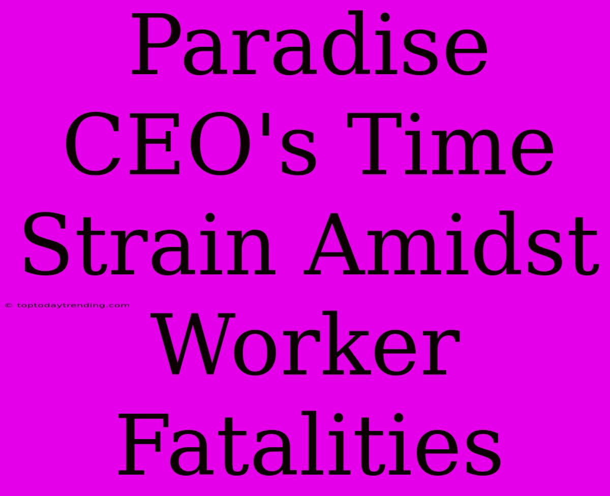 Paradise CEO's Time Strain Amidst Worker Fatalities