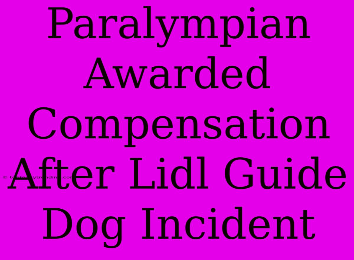 Paralympian Awarded Compensation After Lidl Guide Dog Incident