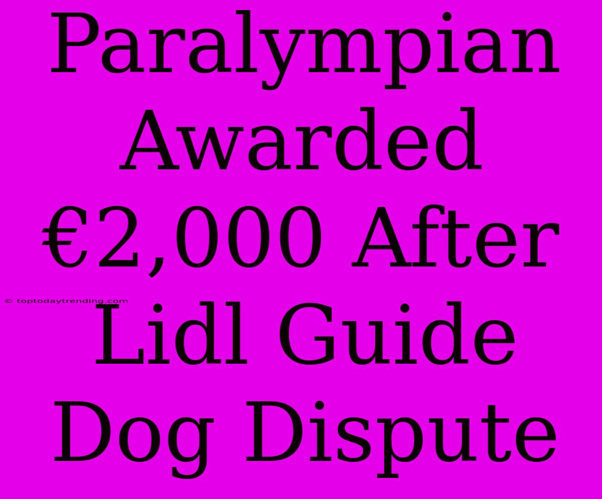 Paralympian Awarded €2,000 After Lidl Guide Dog Dispute