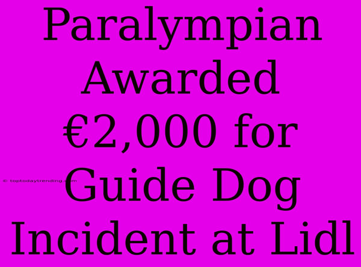 Paralympian Awarded €2,000 For Guide Dog Incident At Lidl