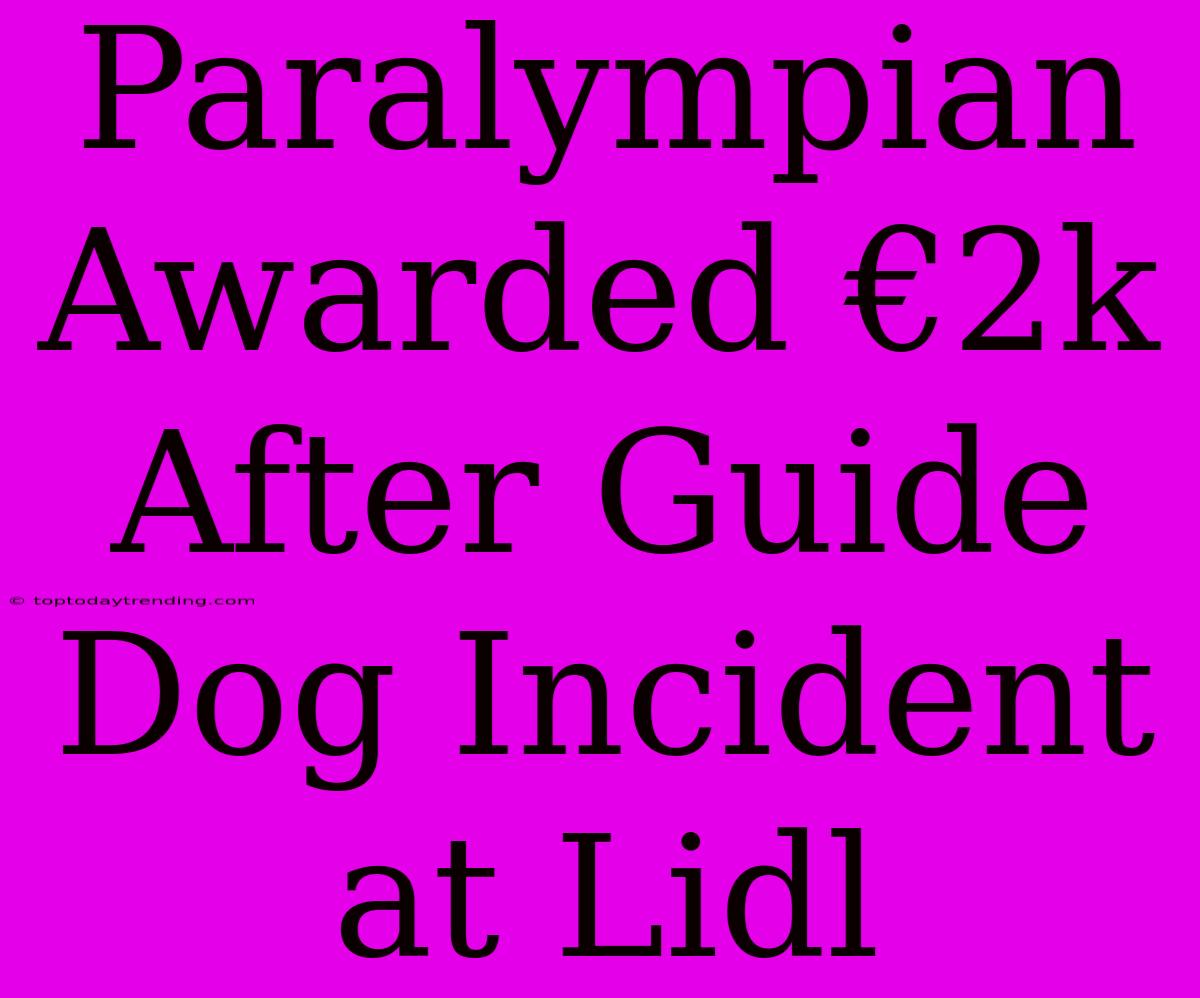 Paralympian Awarded €2k After Guide Dog Incident At Lidl