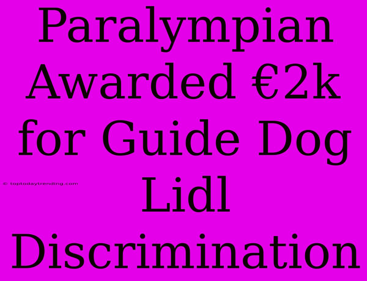 Paralympian Awarded €2k For Guide Dog Lidl Discrimination