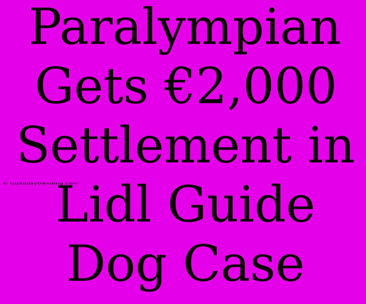 Paralympian Gets €2,000 Settlement In Lidl Guide Dog Case