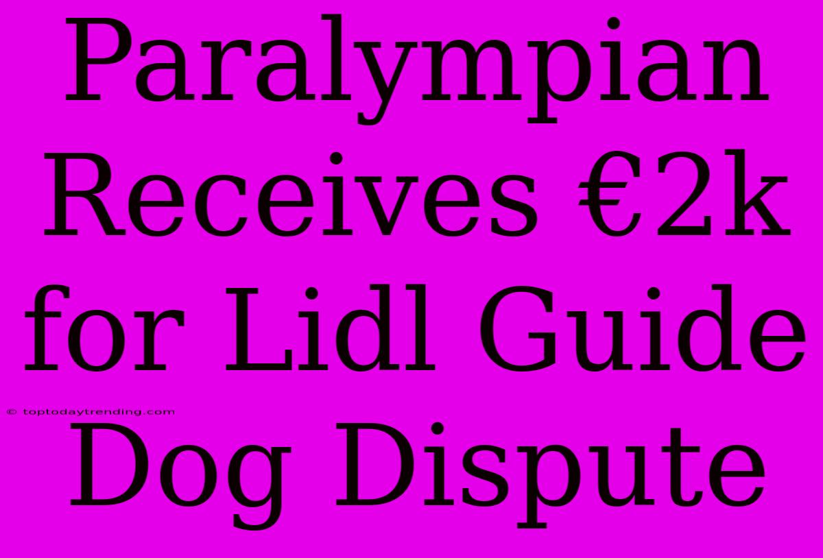 Paralympian Receives €2k For Lidl Guide Dog Dispute