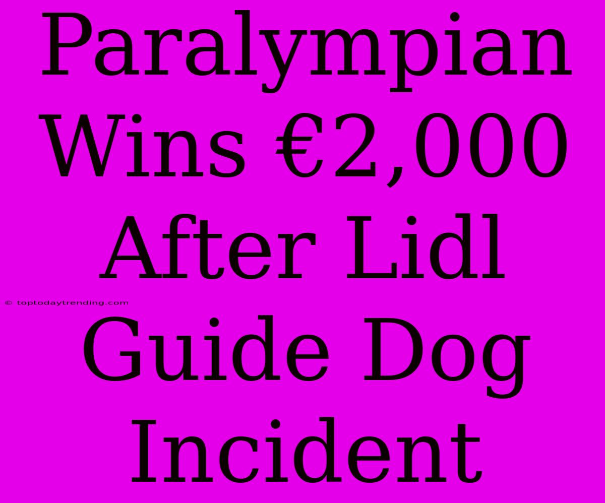 Paralympian Wins €2,000 After Lidl Guide Dog Incident