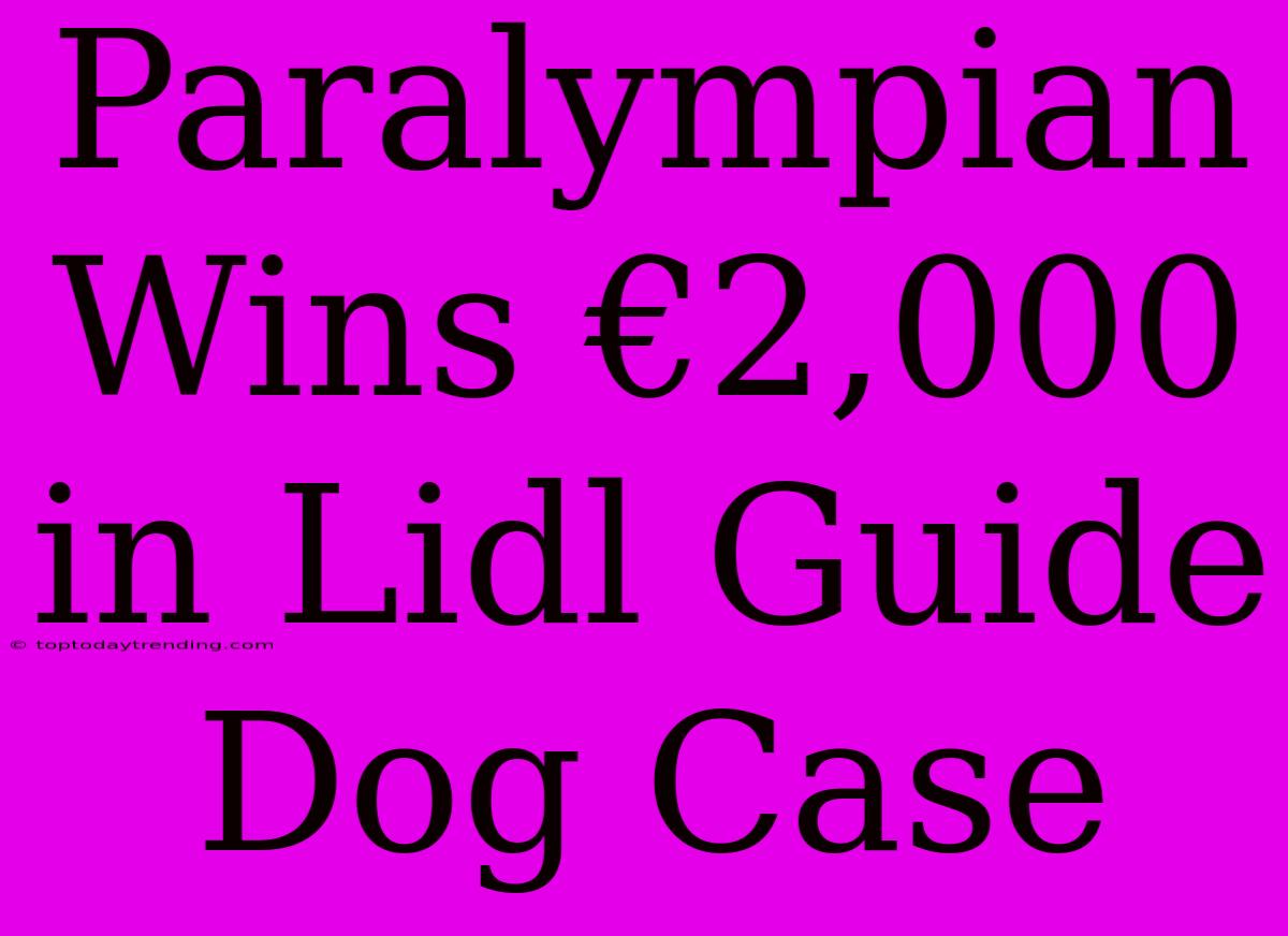 Paralympian Wins €2,000 In Lidl Guide Dog Case