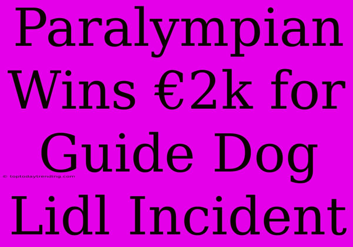 Paralympian Wins €2k For Guide Dog Lidl Incident