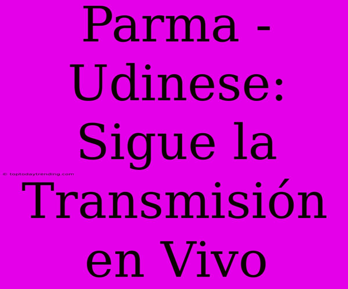 Parma - Udinese: Sigue La Transmisión En Vivo