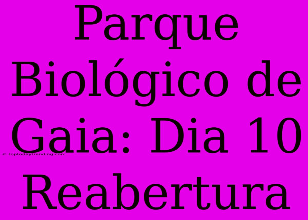 Parque Biológico De Gaia: Dia 10 Reabertura