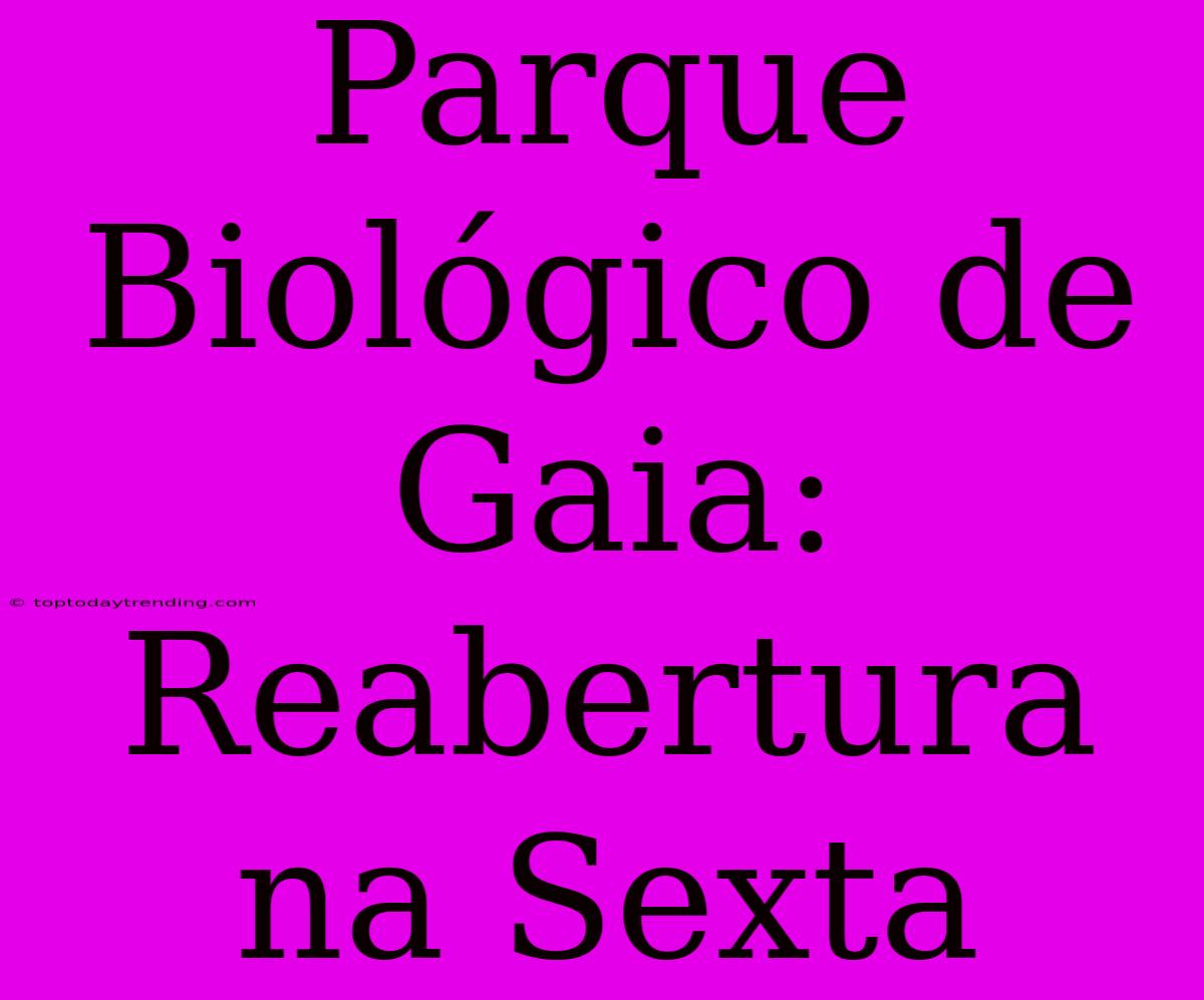 Parque Biológico De Gaia: Reabertura Na Sexta