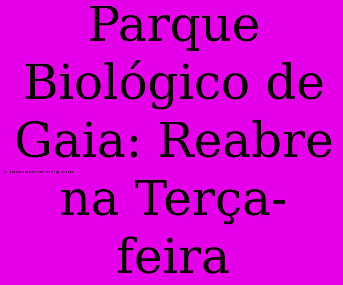 Parque Biológico De Gaia: Reabre Na Terça-feira