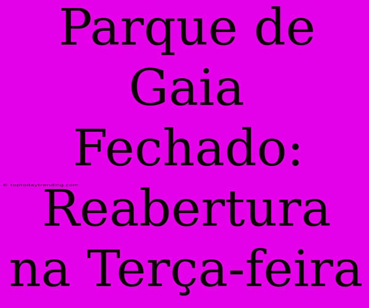 Parque De Gaia Fechado: Reabertura Na Terça-feira