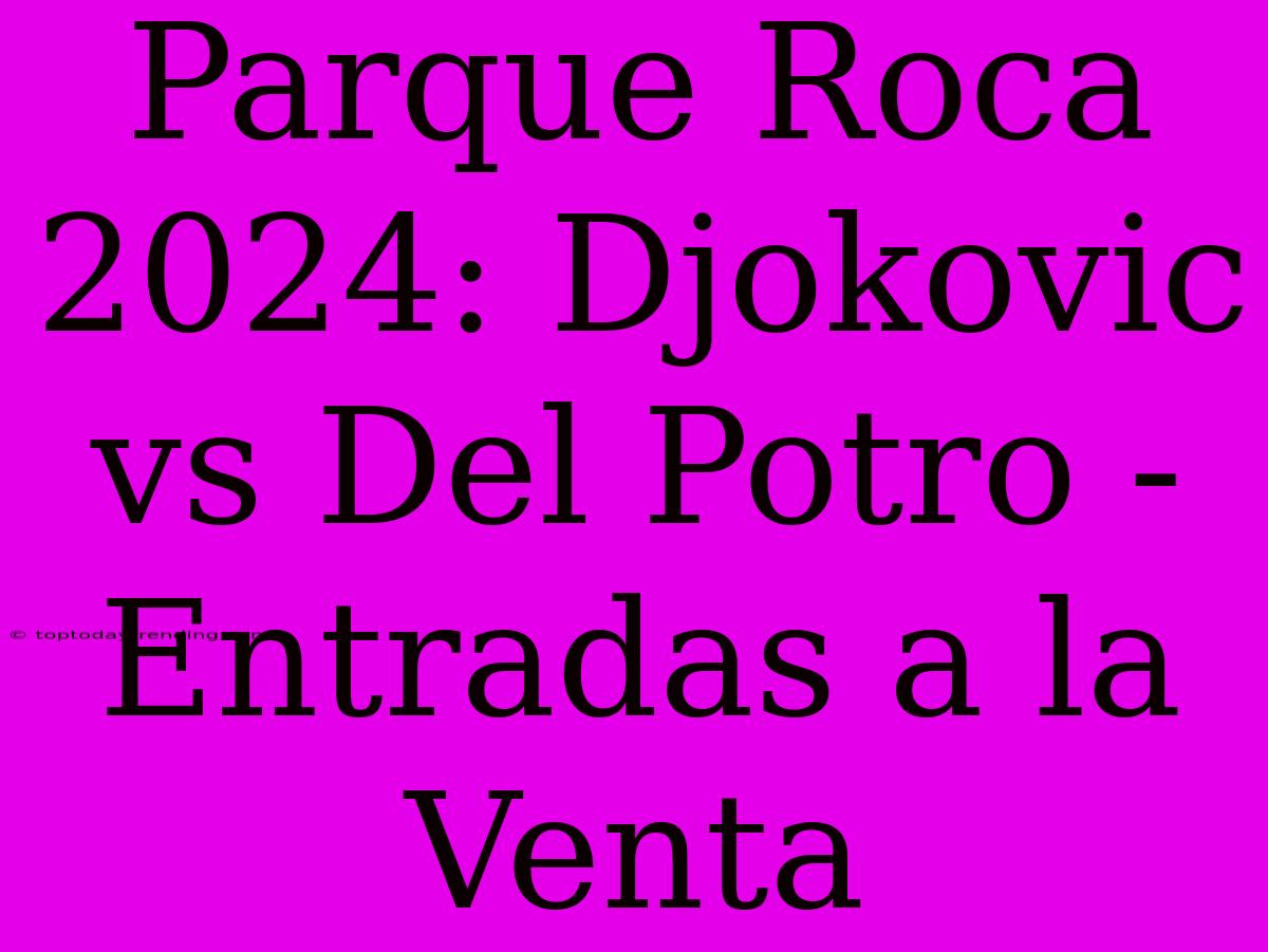 Parque Roca 2024: Djokovic Vs Del Potro - Entradas A La Venta