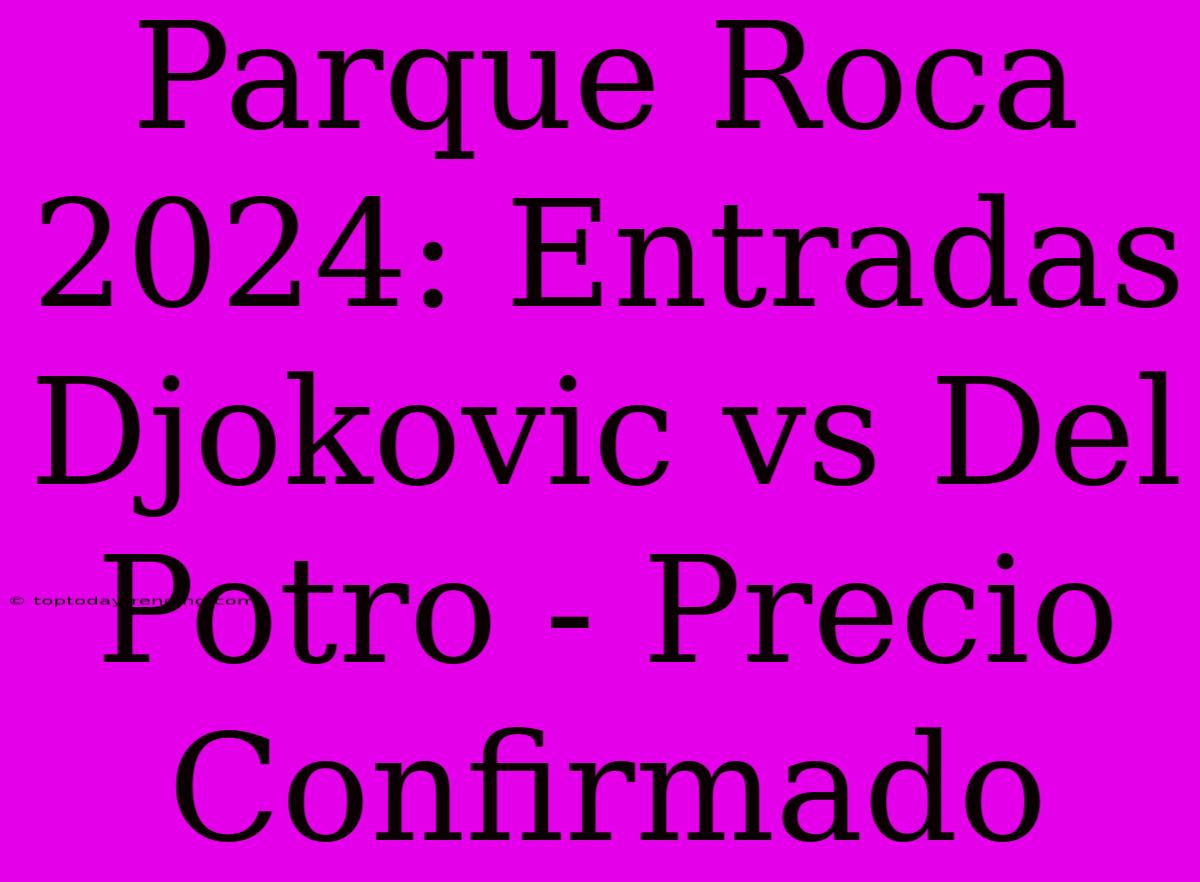 Parque Roca 2024: Entradas Djokovic Vs Del Potro - Precio Confirmado