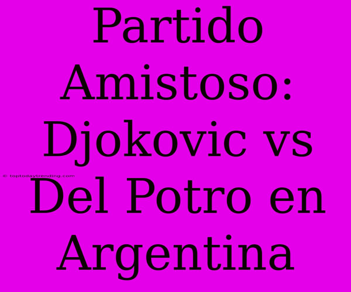 Partido Amistoso: Djokovic Vs Del Potro En Argentina