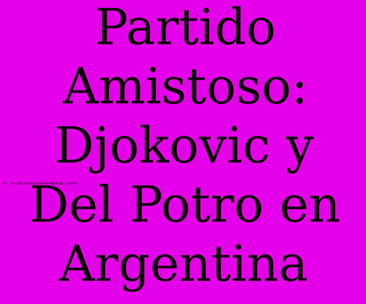 Partido Amistoso: Djokovic Y Del Potro En Argentina