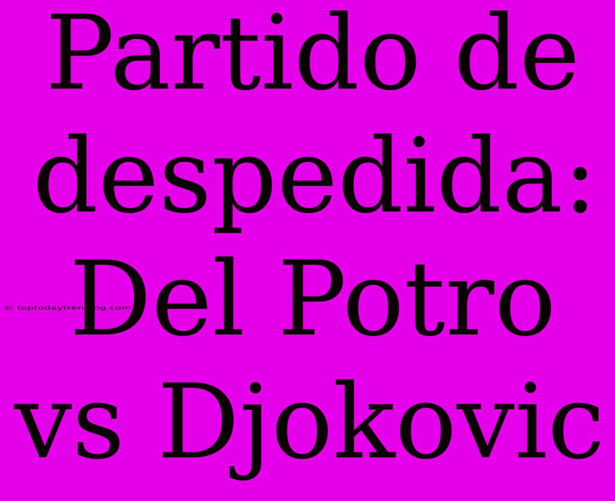 Partido De Despedida: Del Potro Vs Djokovic