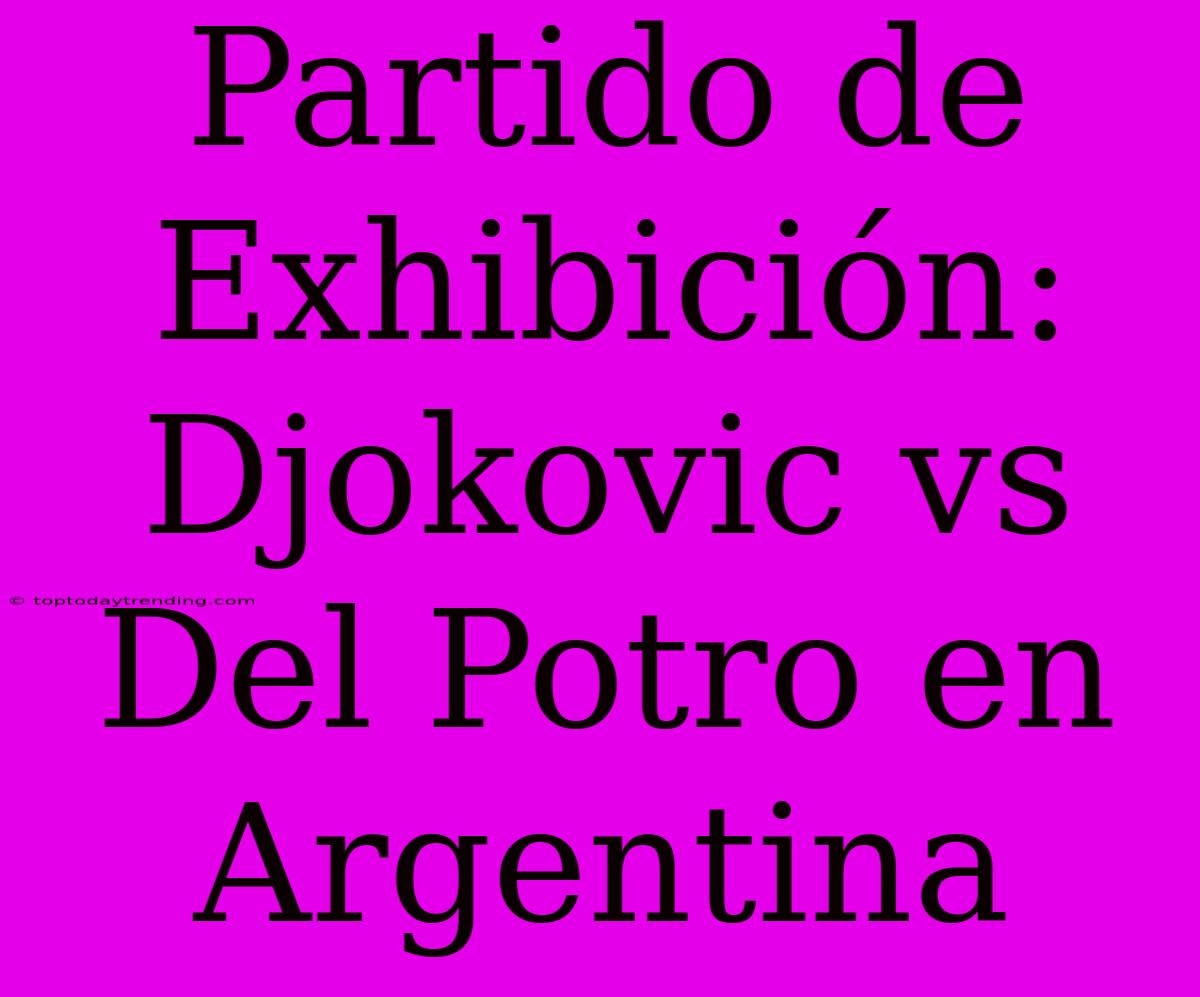 Partido De Exhibición: Djokovic Vs Del Potro En Argentina