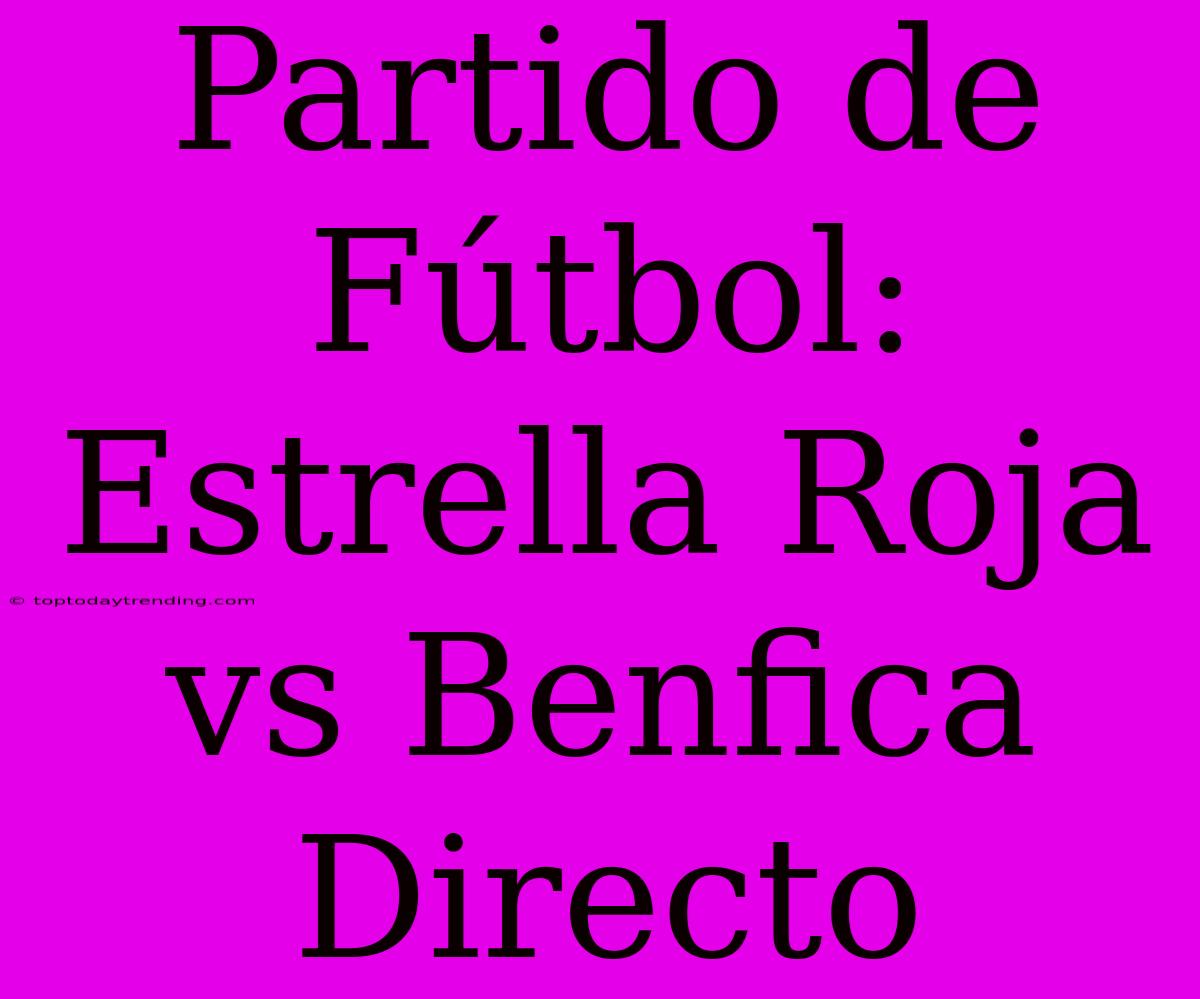 Partido De Fútbol: Estrella Roja Vs Benfica Directo