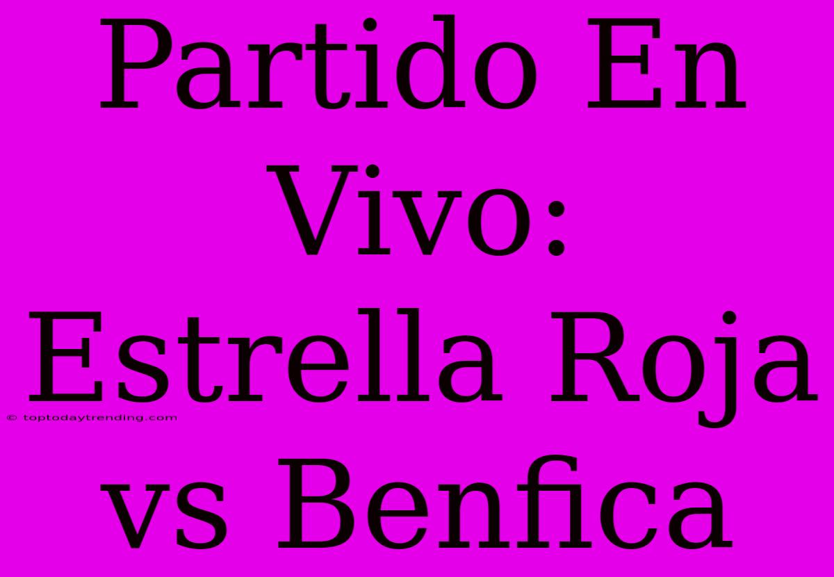 Partido En Vivo: Estrella Roja Vs Benfica