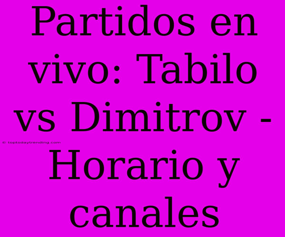 Partidos En Vivo: Tabilo Vs Dimitrov - Horario Y Canales