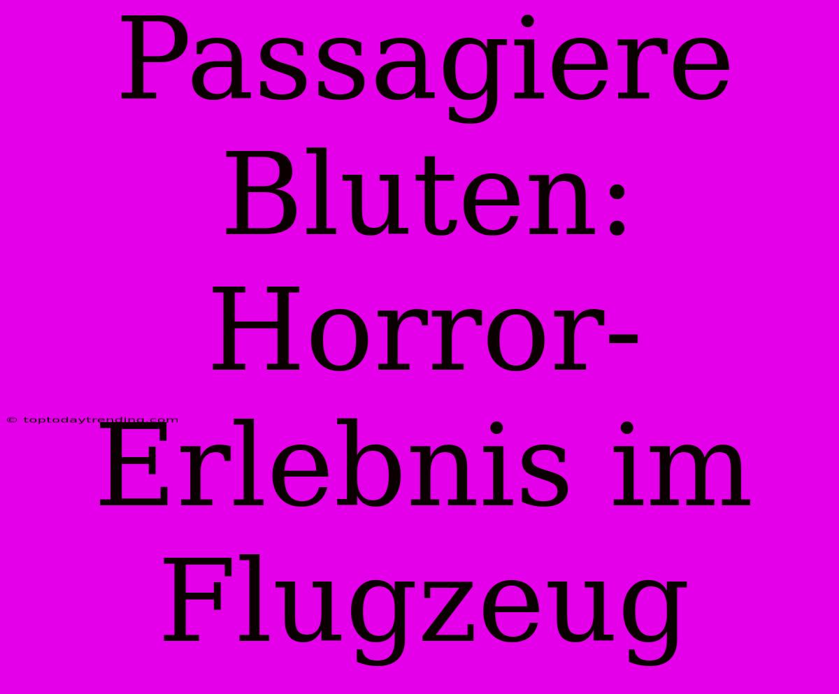 Passagiere Bluten: Horror-Erlebnis Im Flugzeug