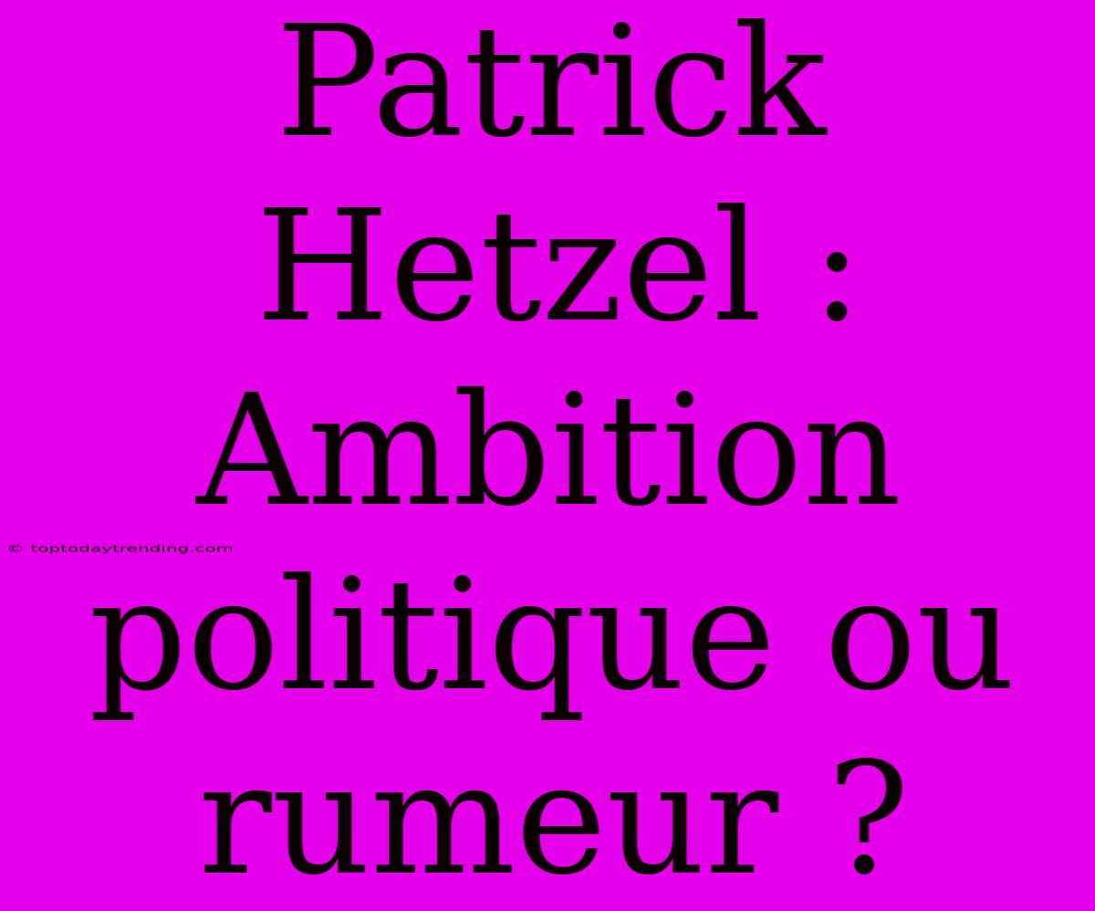 Patrick Hetzel : Ambition Politique Ou Rumeur ?