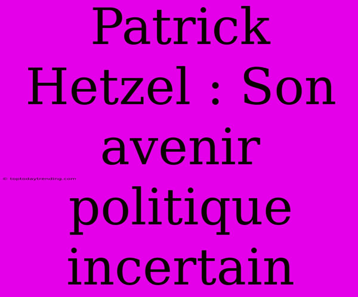 Patrick Hetzel : Son Avenir Politique Incertain