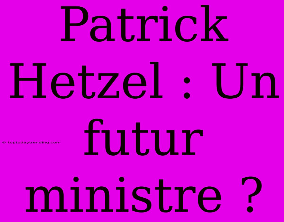 Patrick Hetzel : Un Futur Ministre ?