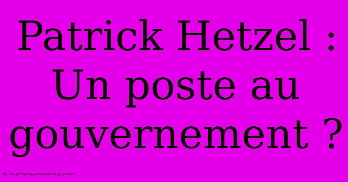 Patrick Hetzel : Un Poste Au Gouvernement ?