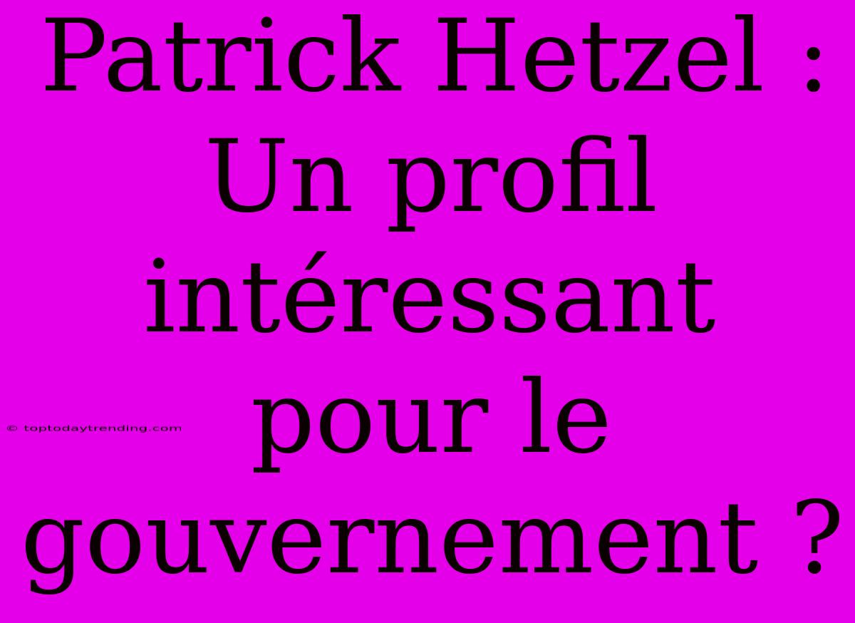 Patrick Hetzel : Un Profil Intéressant Pour Le Gouvernement ?