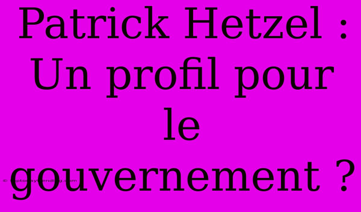 Patrick Hetzel : Un Profil Pour Le Gouvernement ?