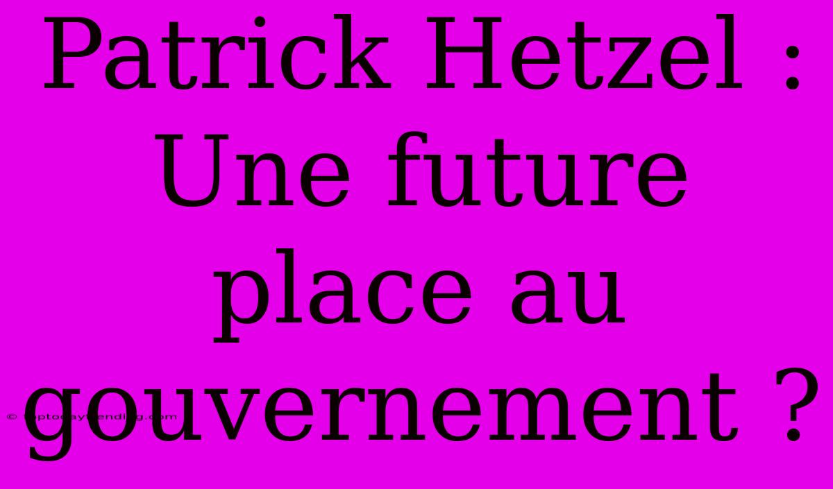 Patrick Hetzel : Une Future Place Au Gouvernement ?