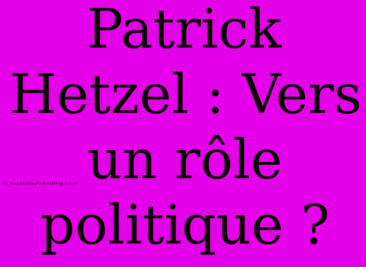 Patrick Hetzel : Vers Un Rôle Politique ?