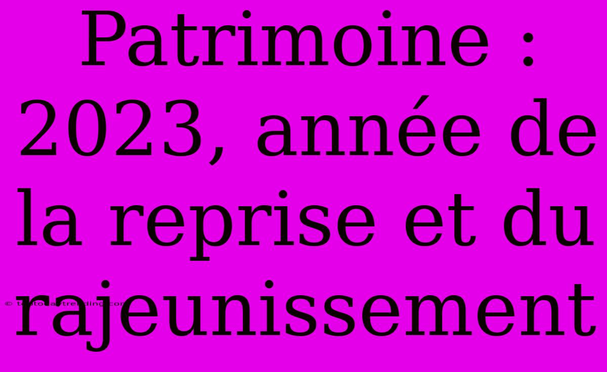 Patrimoine : 2023, Année De La Reprise Et Du Rajeunissement