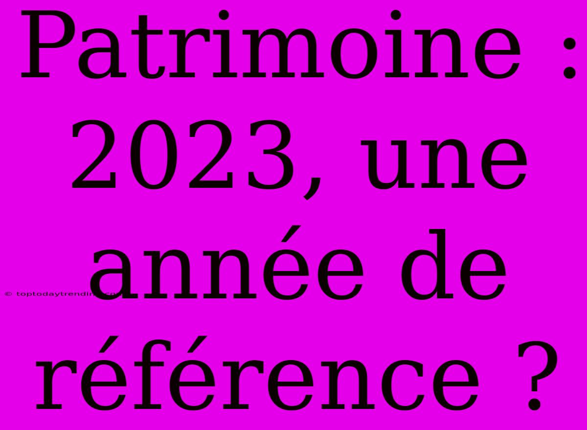 Patrimoine : 2023, Une Année De Référence ?